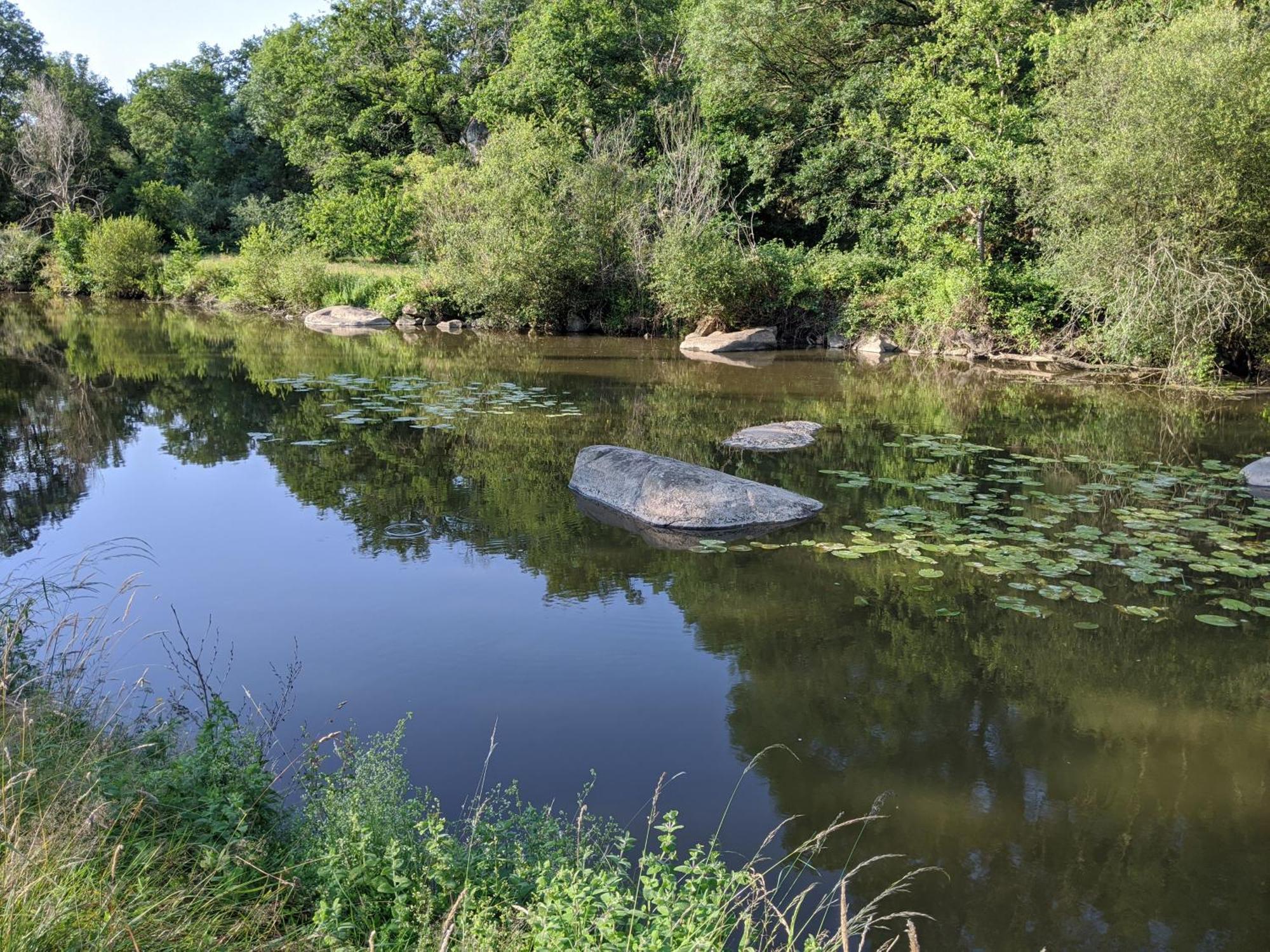 Le Moulin Du Fresne, Chambres D'Hotes Gourgé Kültér fotó